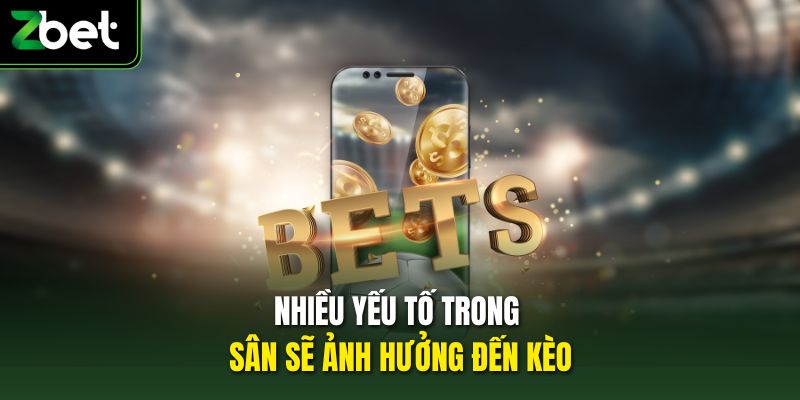 Nhiều yếu tố trong sân sẽ ảnh hưởng đến kèo